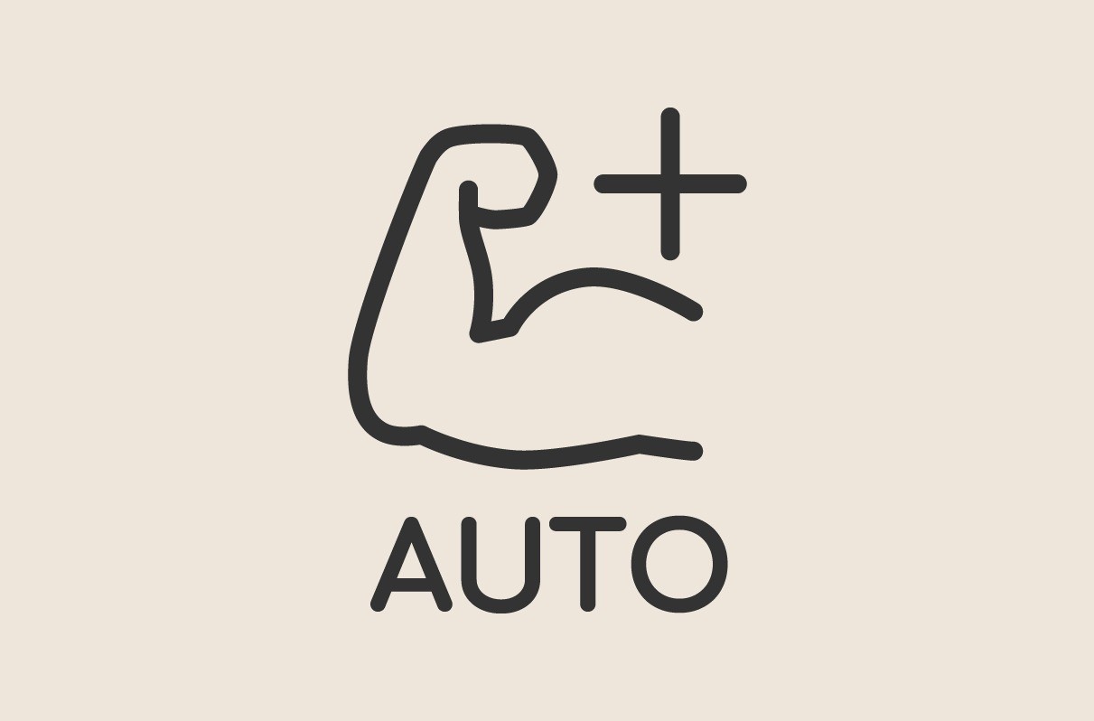 什麼是Autoboost