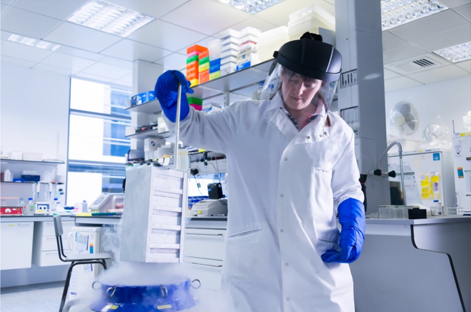 Заморозка жидким азотом. Замораживание жидким азотом. Замораживание клеток. Витрификация криоконсервация. Криоконсервация растений.