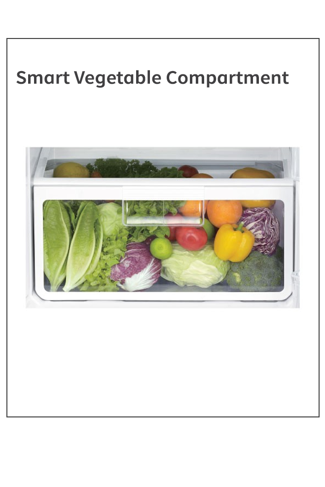 New Stylish Line Glass Door Series_2