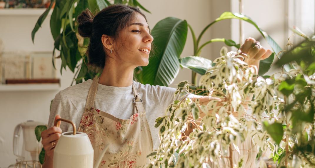 Young woman in apron is watering houseplants at home.