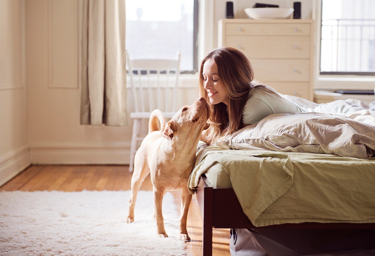 HVAC insulation the benefits of temperature insulation